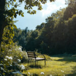 Cahaya Pagi yang Menyapa Rumah: Kebiasaan Kecil yang Membuat Hari Terasa Lebih Cerah dan Ringan