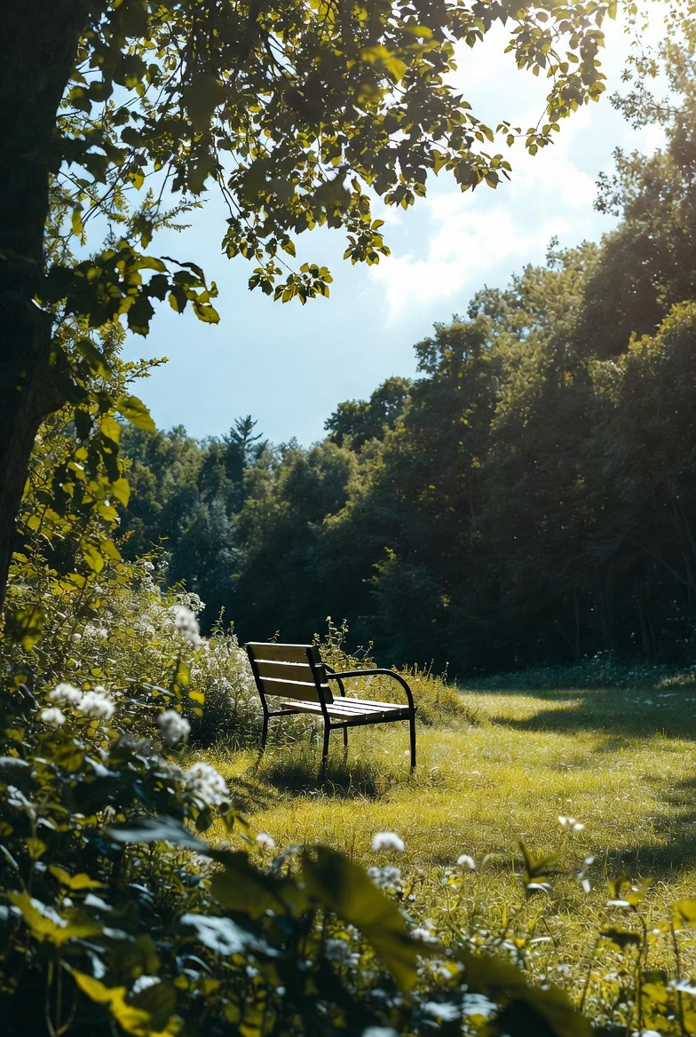 Cahaya Pagi yang Menyapa Rumah: Kebiasaan Kecil yang Membuat Hari Terasa Lebih Cerah dan Ringan