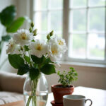 Napas Segar di Bawah Langit Terbuka: Momen Singkat yang Membuat Hari Terasa Lebih Ringan dan Bahagia