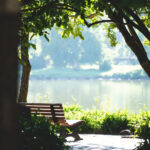 Sentuhan Hijau dan Aroma Segar: Detail Kecil yang Membuat Rumah Selalu Terasa Lebih Hidup